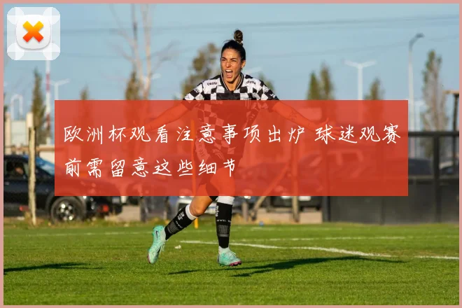欧洲杯观看注意事项出炉 球迷观赛前需留意这些细节