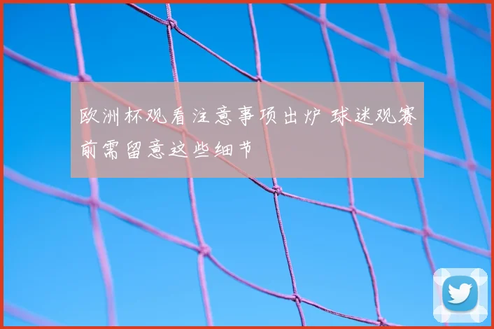 欧洲杯观看注意事项出炉 球迷观赛前需留意这些细节