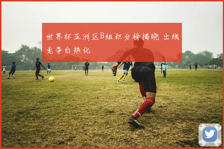 世界杯亚洲区B组积分榜揭晓 出线竞争白热化
